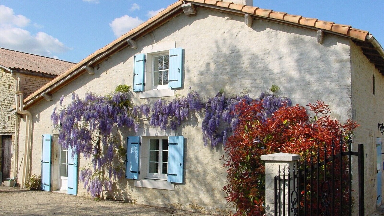 Photo of Outdoor in Brulain