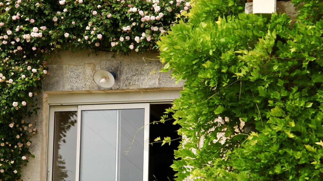 Photo of Outdoor in Montmoreau-Saint-Cybard