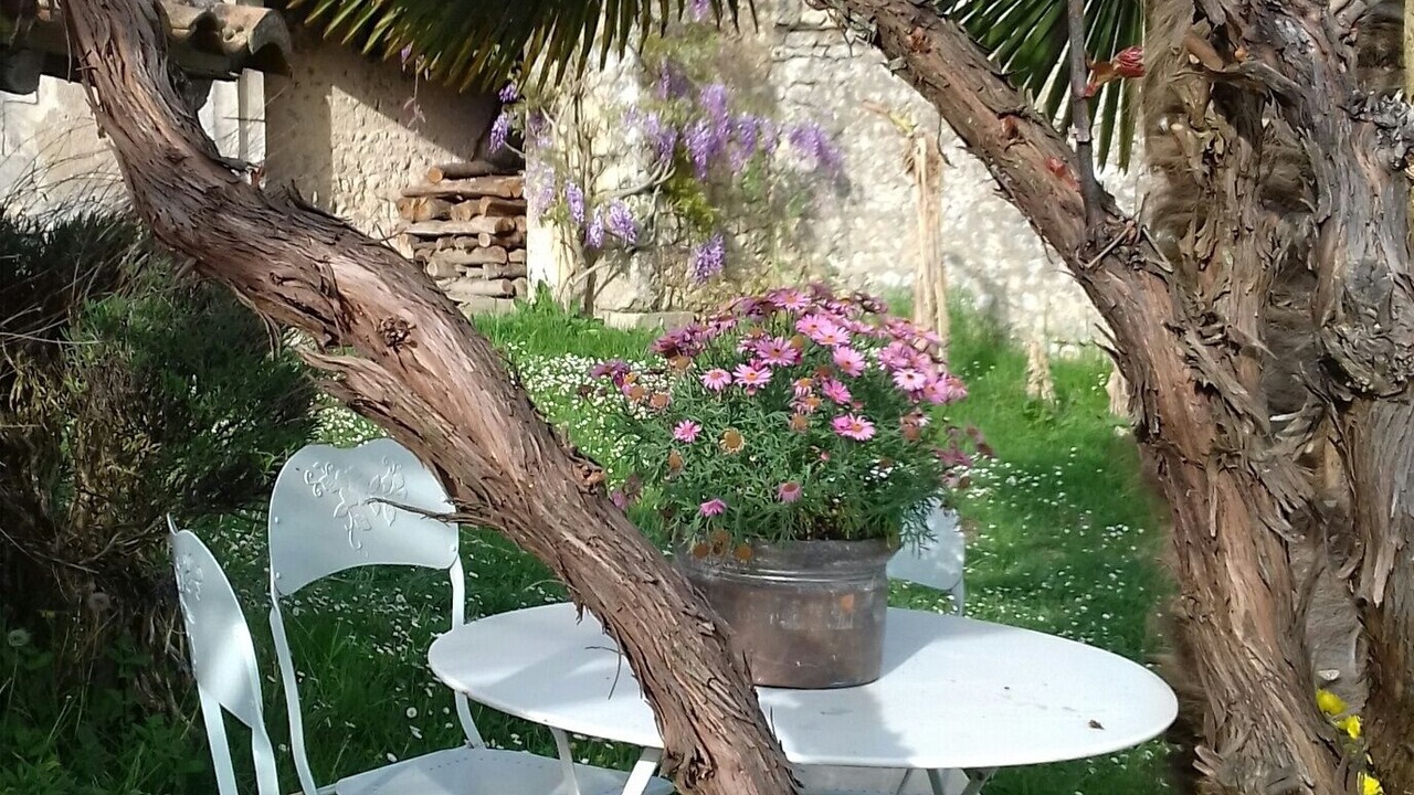 Photo of Outdoor in Montmoreau-Saint-Cybard