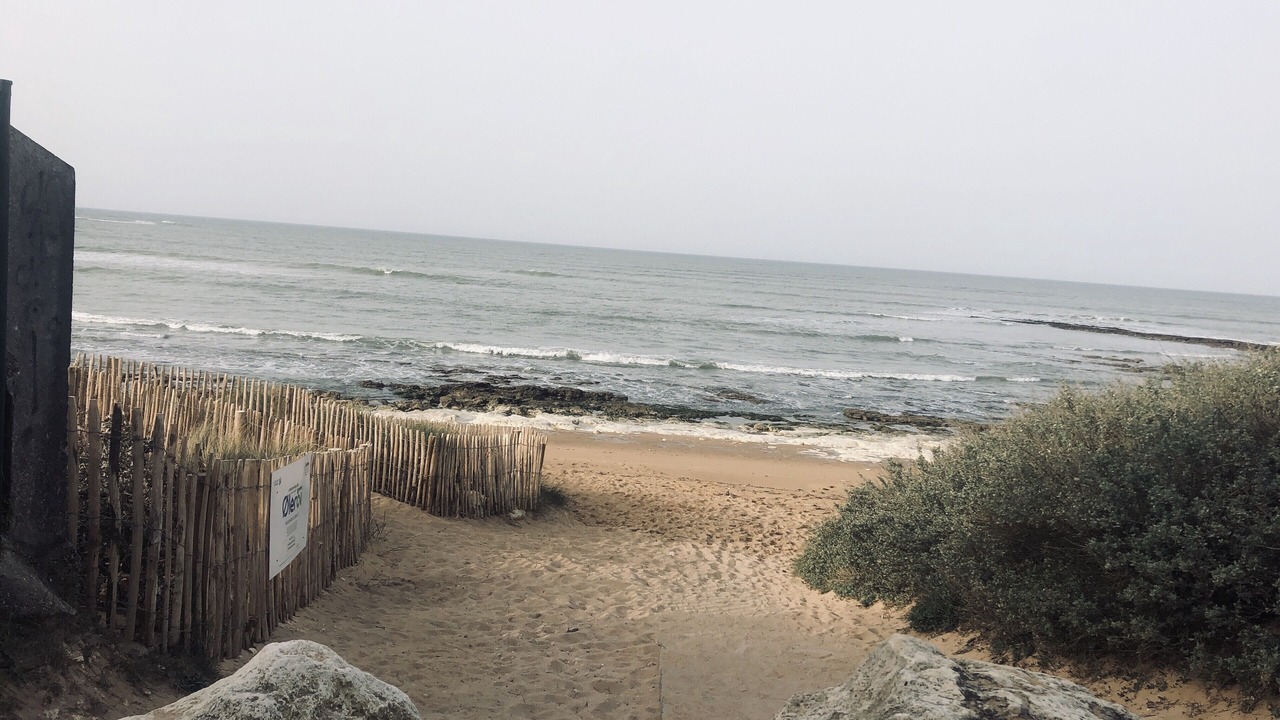 Photo of Others in La Cotiniere