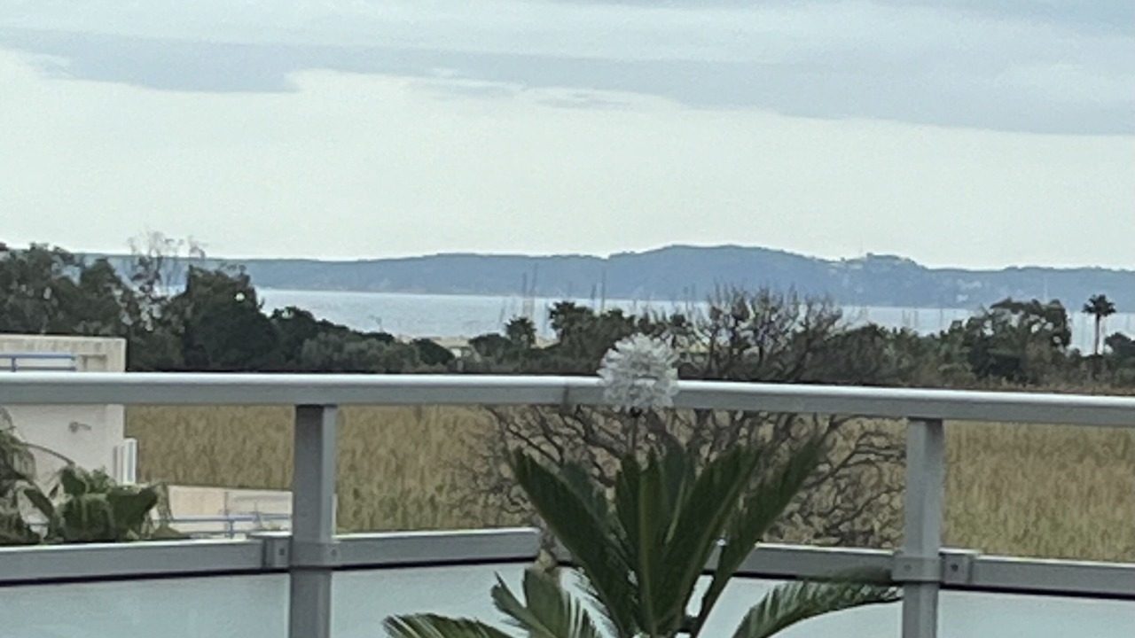 Photo of Outdoor in Le Lavandou