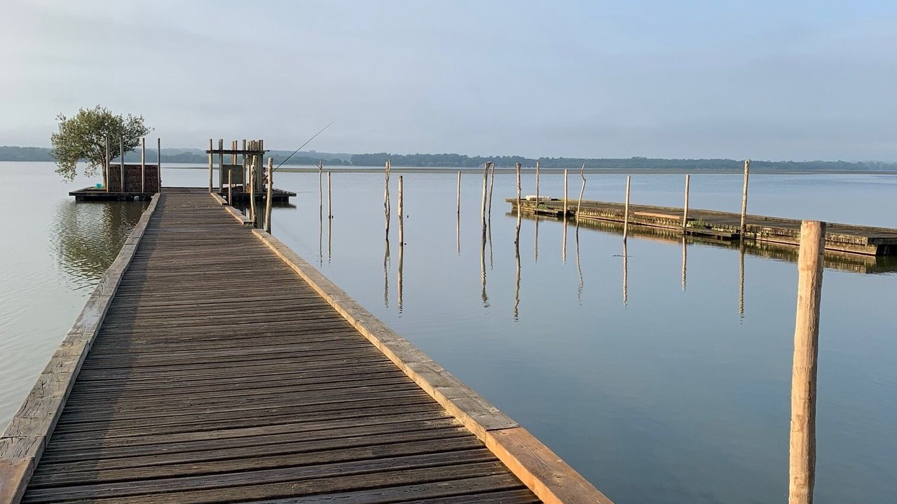 Photo of Outdoor in Saint-Michel-Escalus