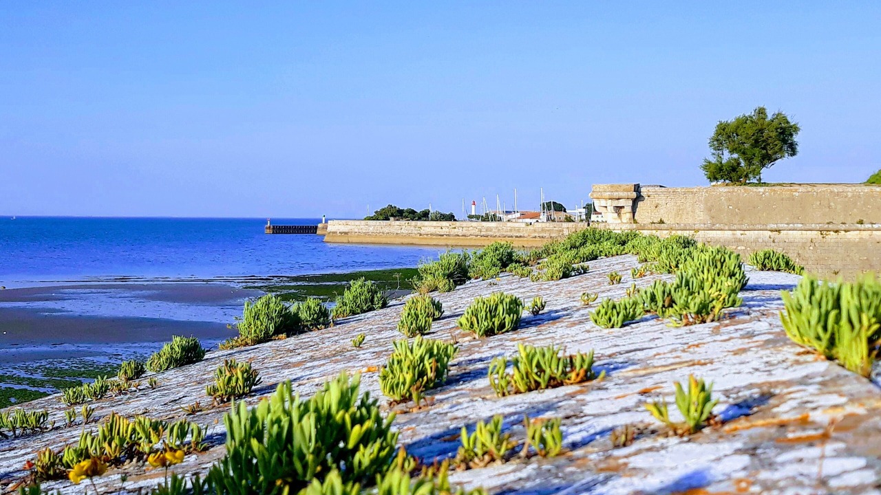 Photo of Outdoor in Saint-Clement-des-Baleines