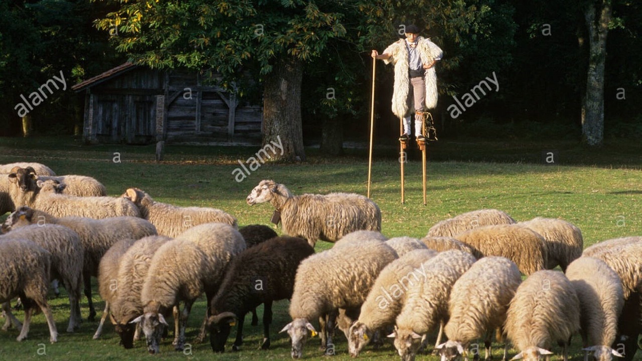 Photo of Others in Beylongue