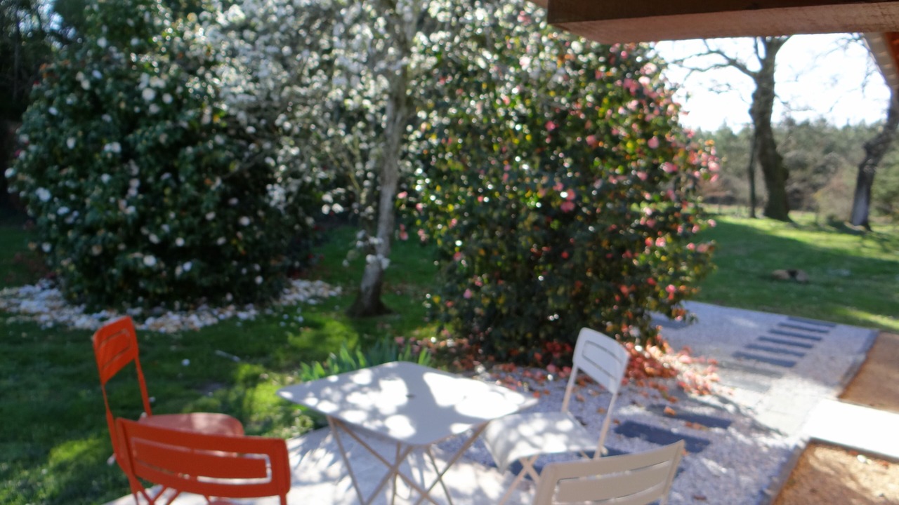 Photo of Outdoor in Beylongue