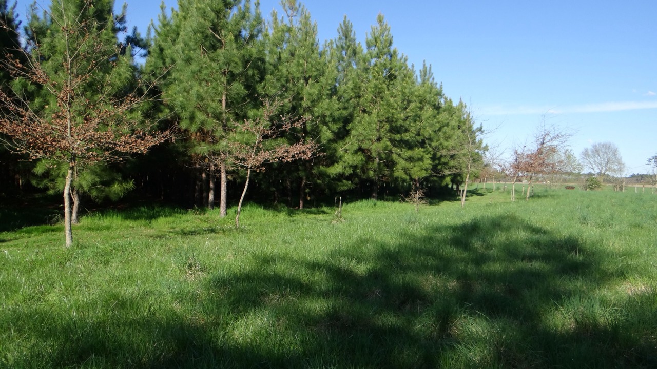 Photo of Outdoor in Beylongue