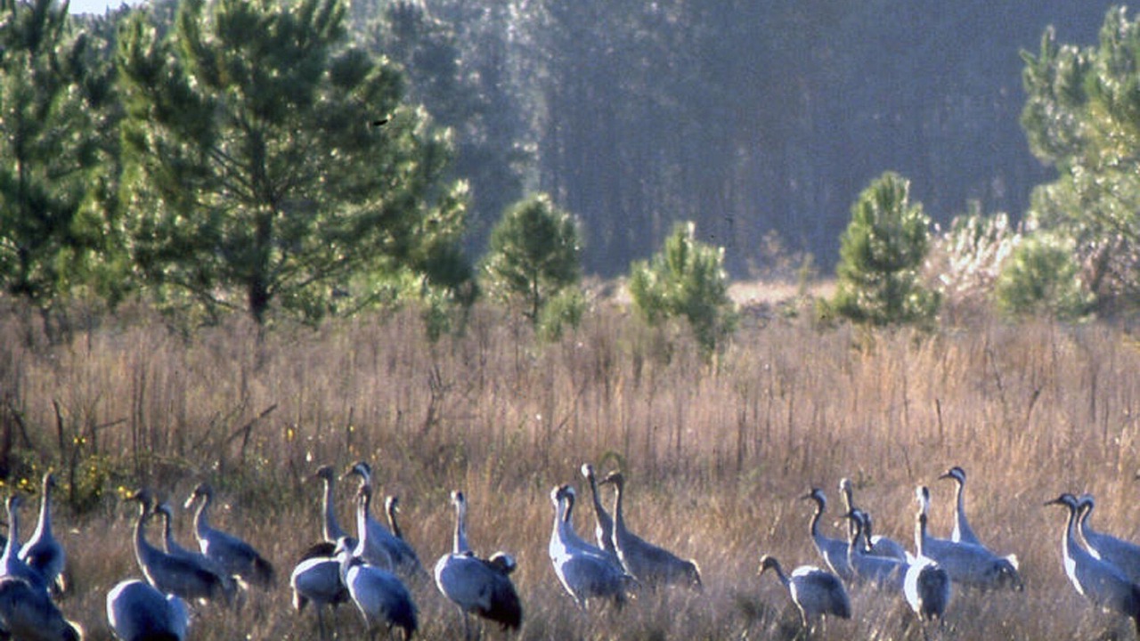 Photo of Outdoor in Beylongue