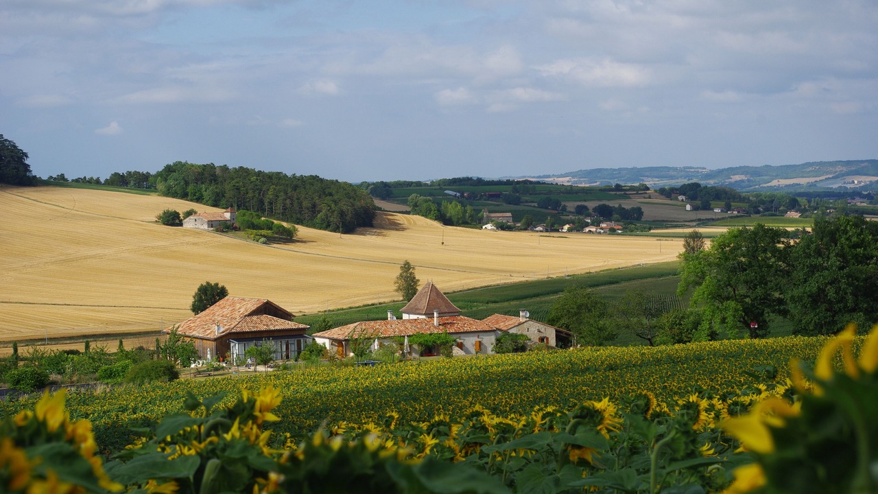 Photo of Outdoor in Saint-Leon
