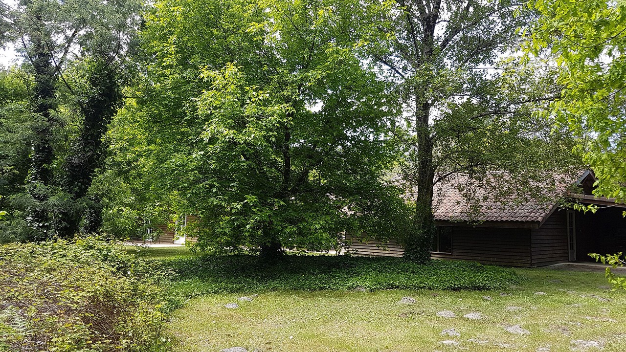 Photo of Outdoor in Saint-Julien-en-Born