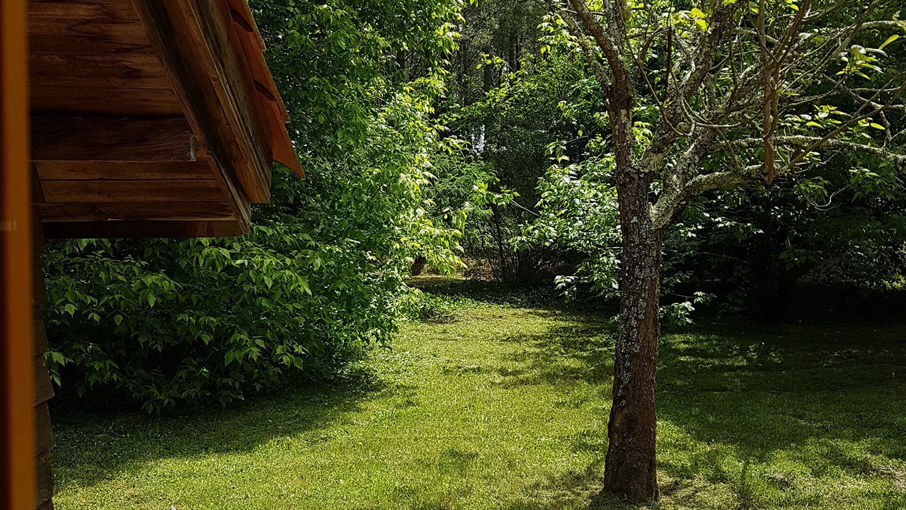Photo of Outdoor in Saint-Julien-en-Born