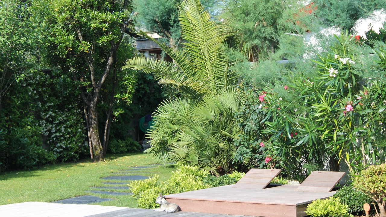 Photo of Patio Balcony in Anglet