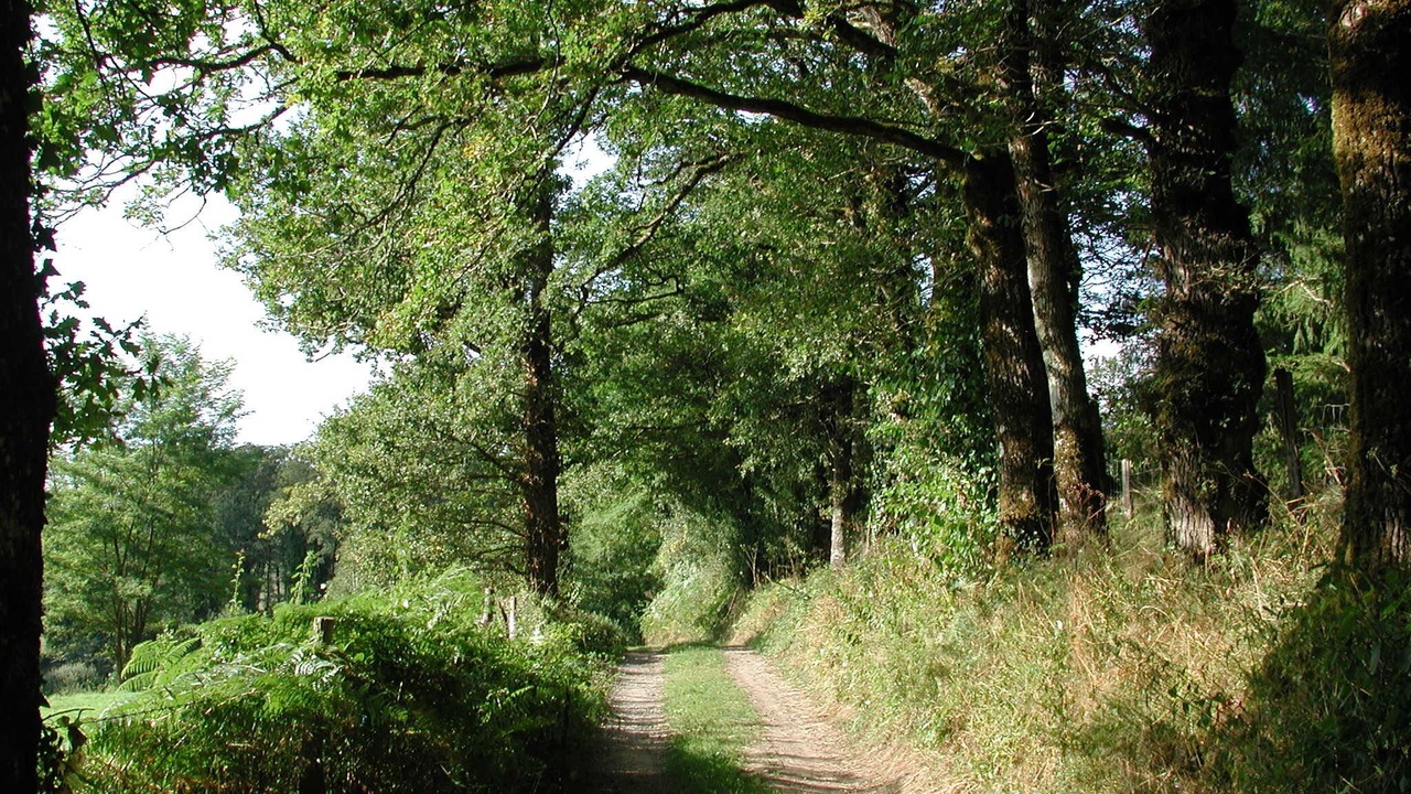 Photo of Outdoor in Rochechouart