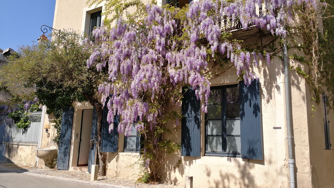 Photo of Outdoor in Pernes-les-Fontaines