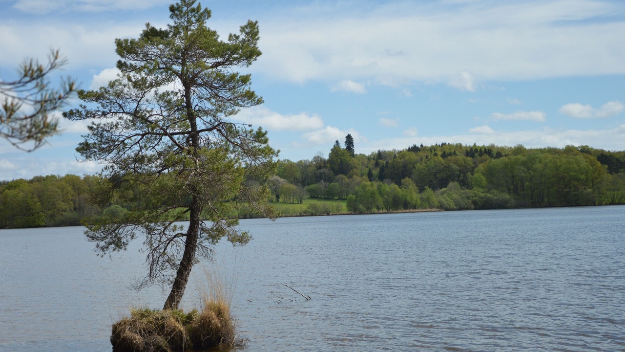 Photo of Outdoor in Espagnac