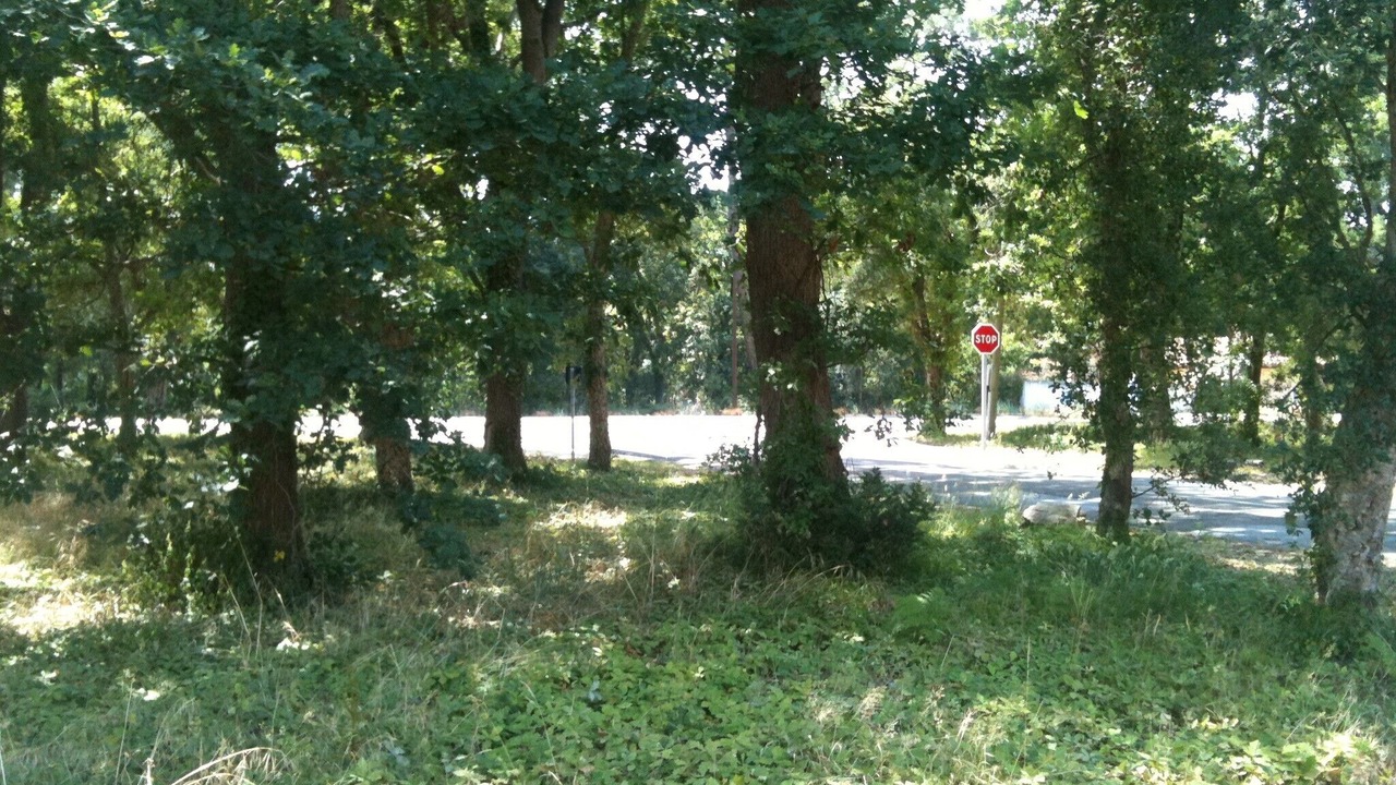Photo of Outdoor in Vieux-Boucau-les-Bains