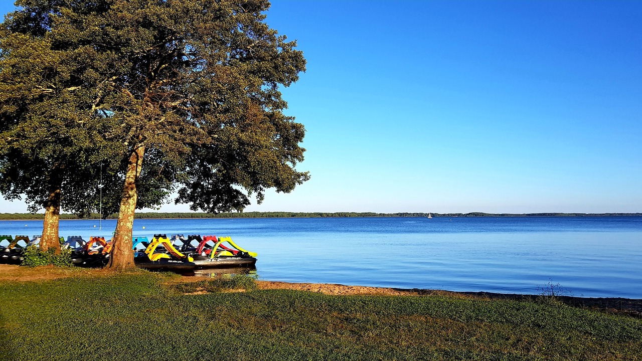 Photo of Others in Lacanau-Ocean