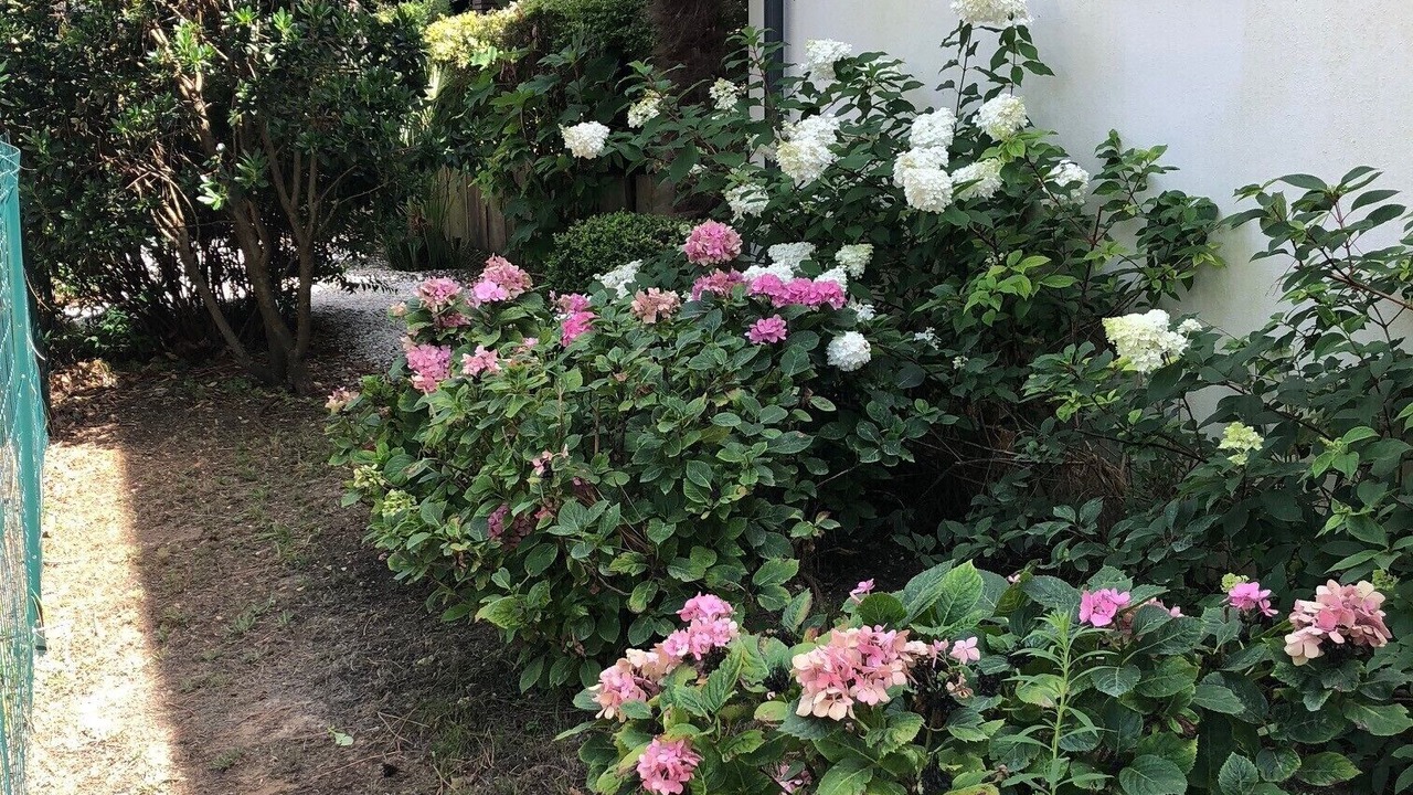 Photo of Outdoor in La Palmyre