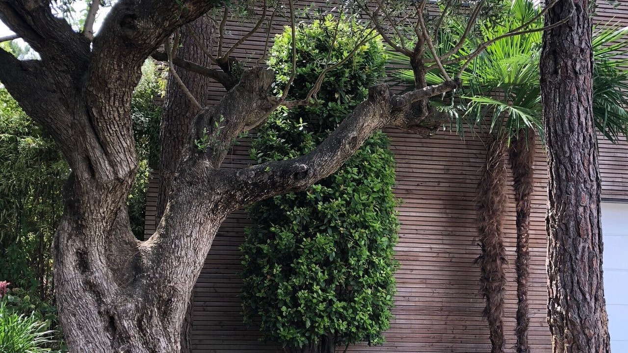 Photo of Outdoor in La Palmyre