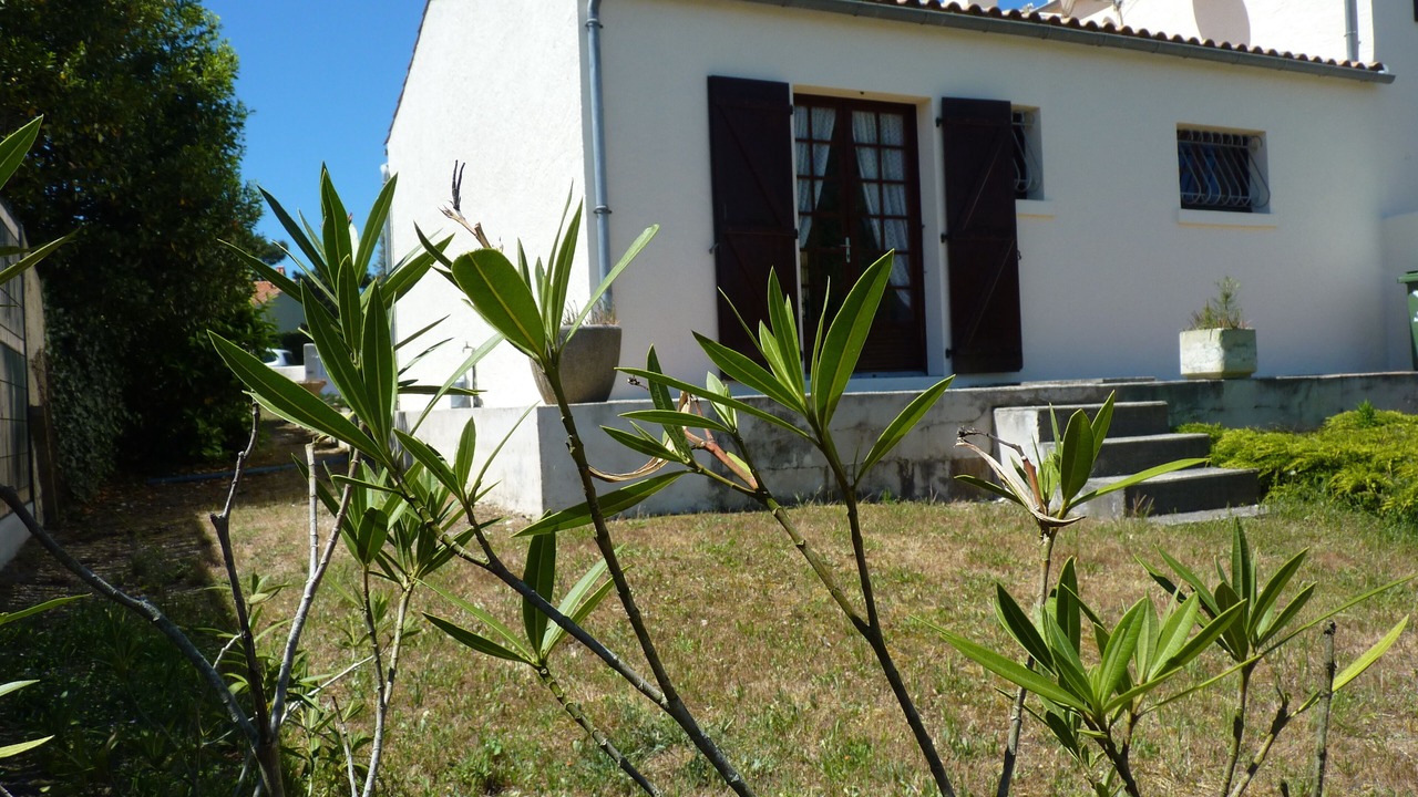 Photo of Outdoor in Le Grand-Village-Plage
