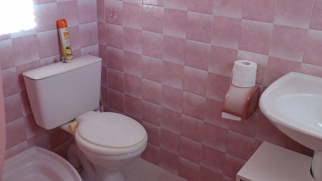 Photo of Bathroom in Riberac