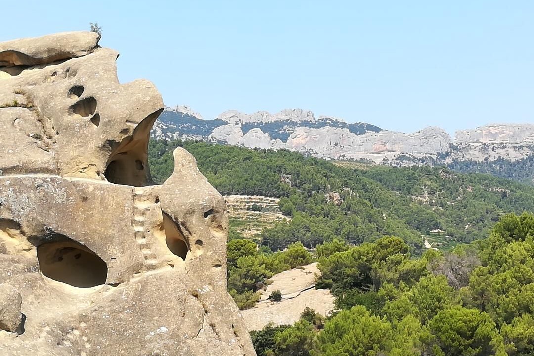 Photo of Outdoor in Jonquerettes