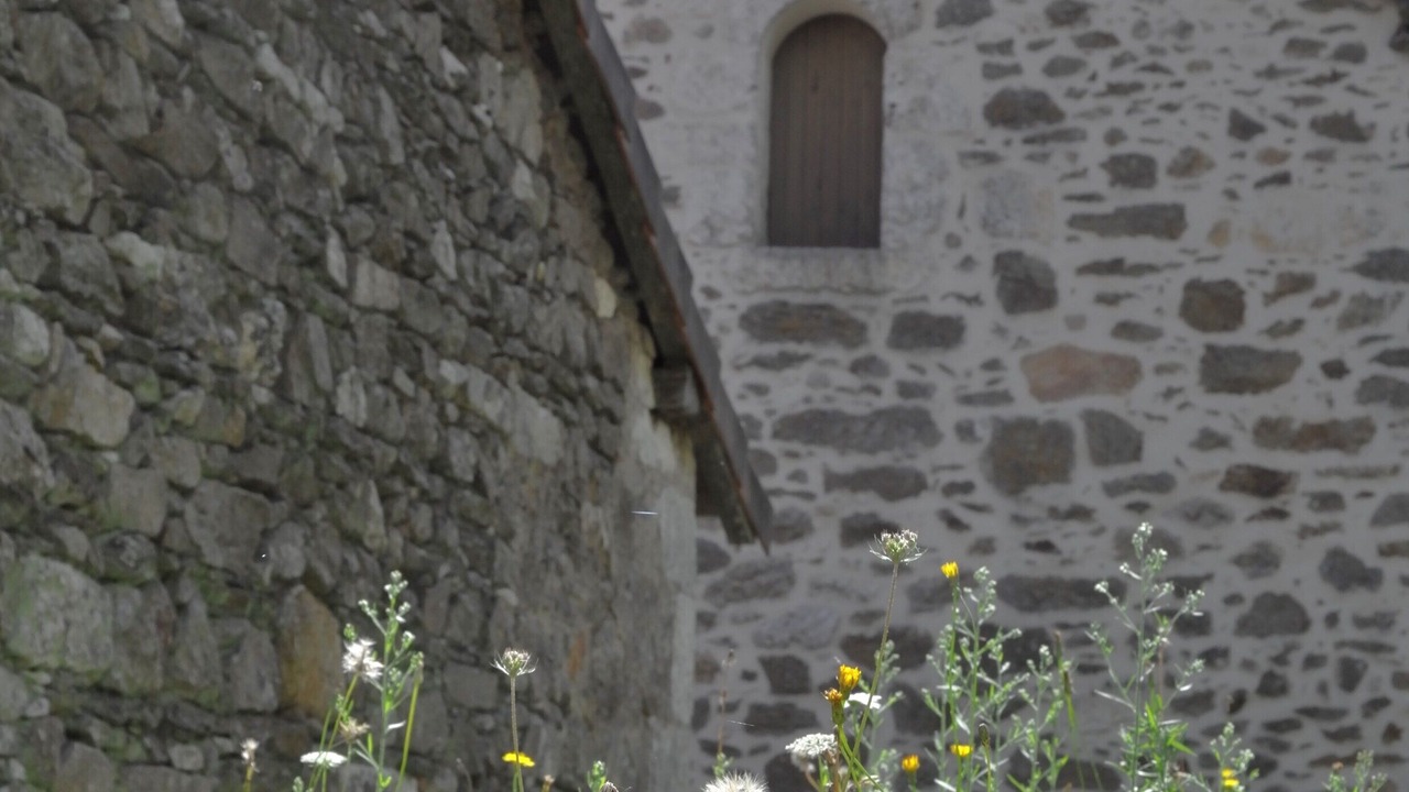 Photo of Outdoor in Milhac-de-Nontron