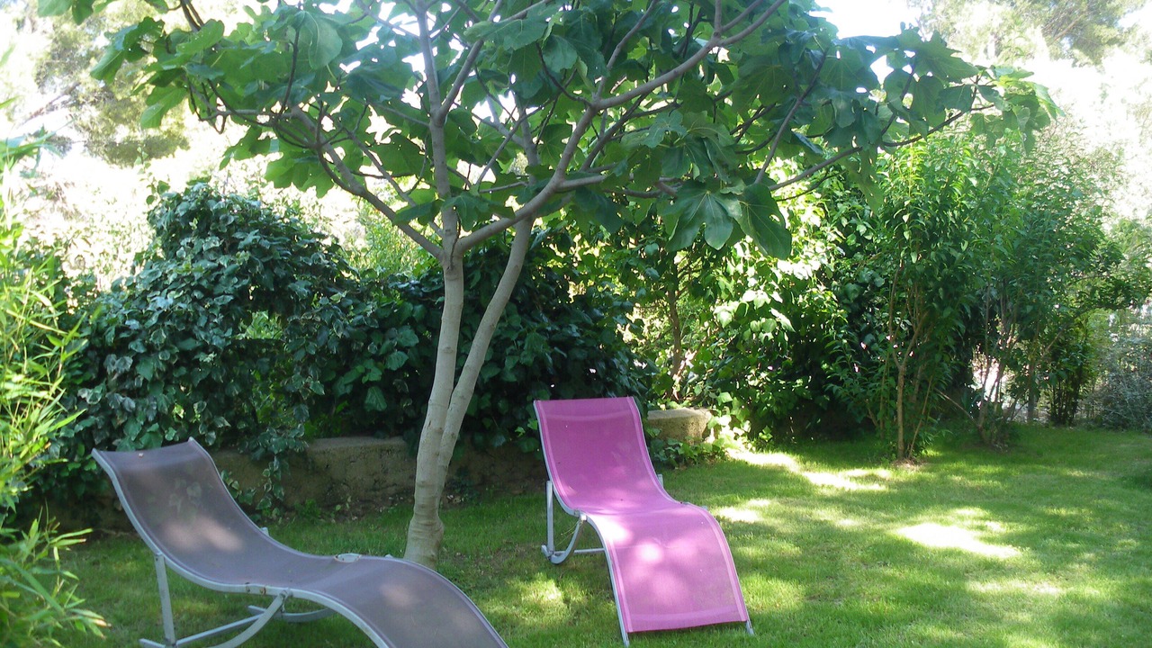 Photo of Outdoor in La Couronne