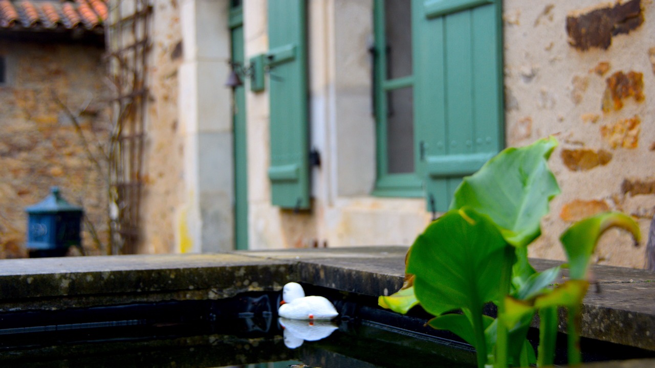 Photo of Others in Le Lindois