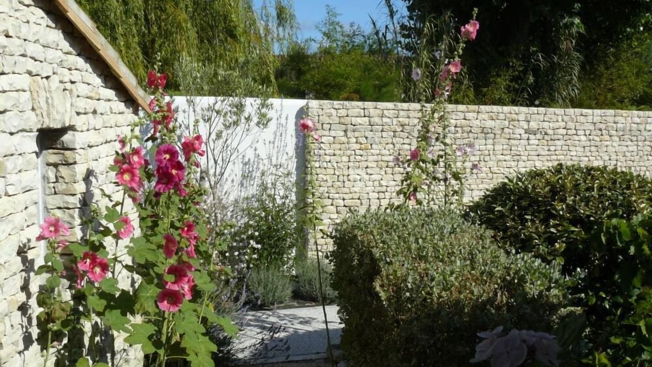 Photo of Outdoor in Le Bois-Plage-en-Re