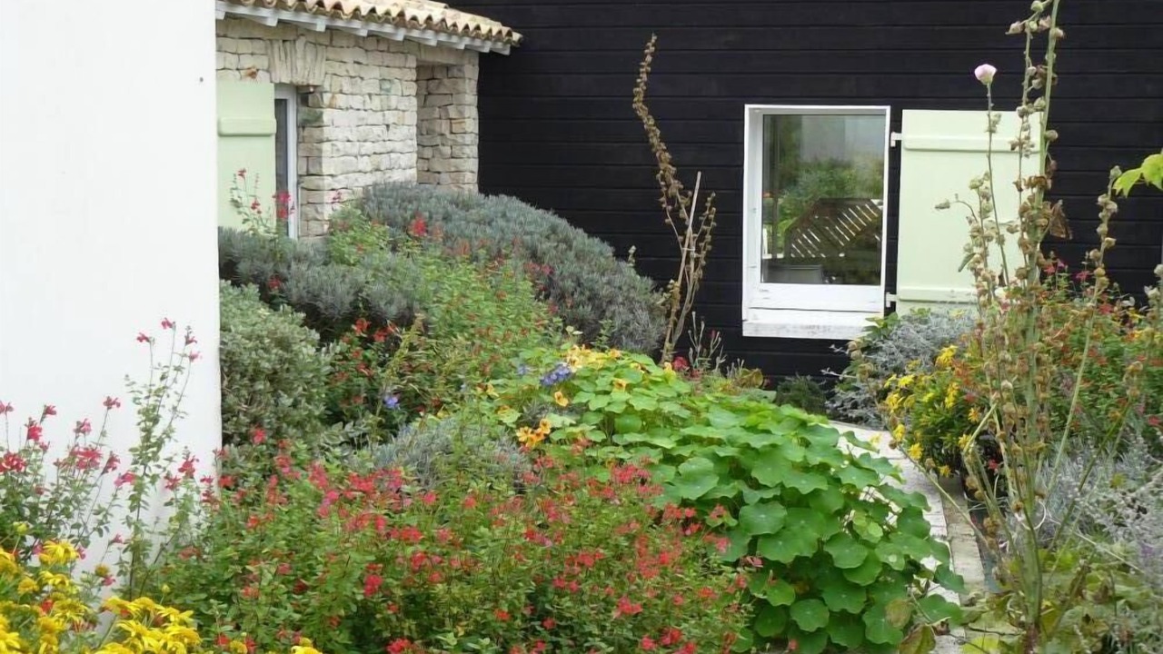 Photo of Outdoor in Le Bois-Plage-en-Re