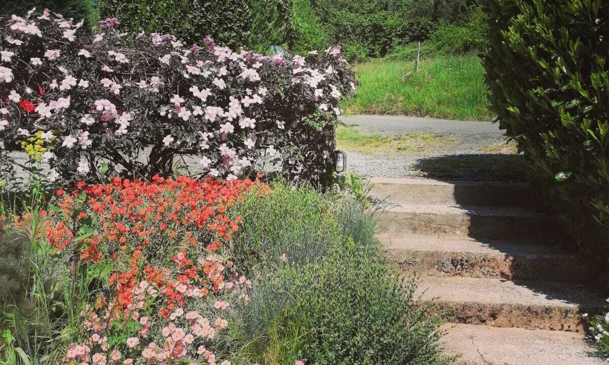 Photo of Outdoor in Clermont-d'Excideuil