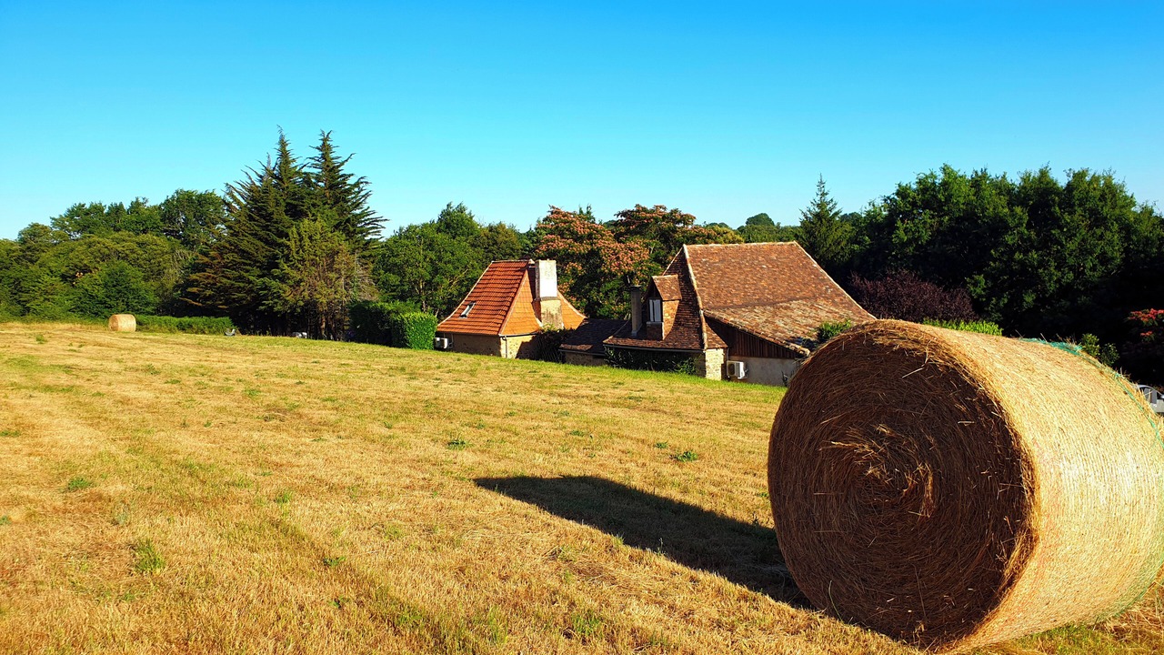 Photo of Outdoor in Clermont-d'Excideuil