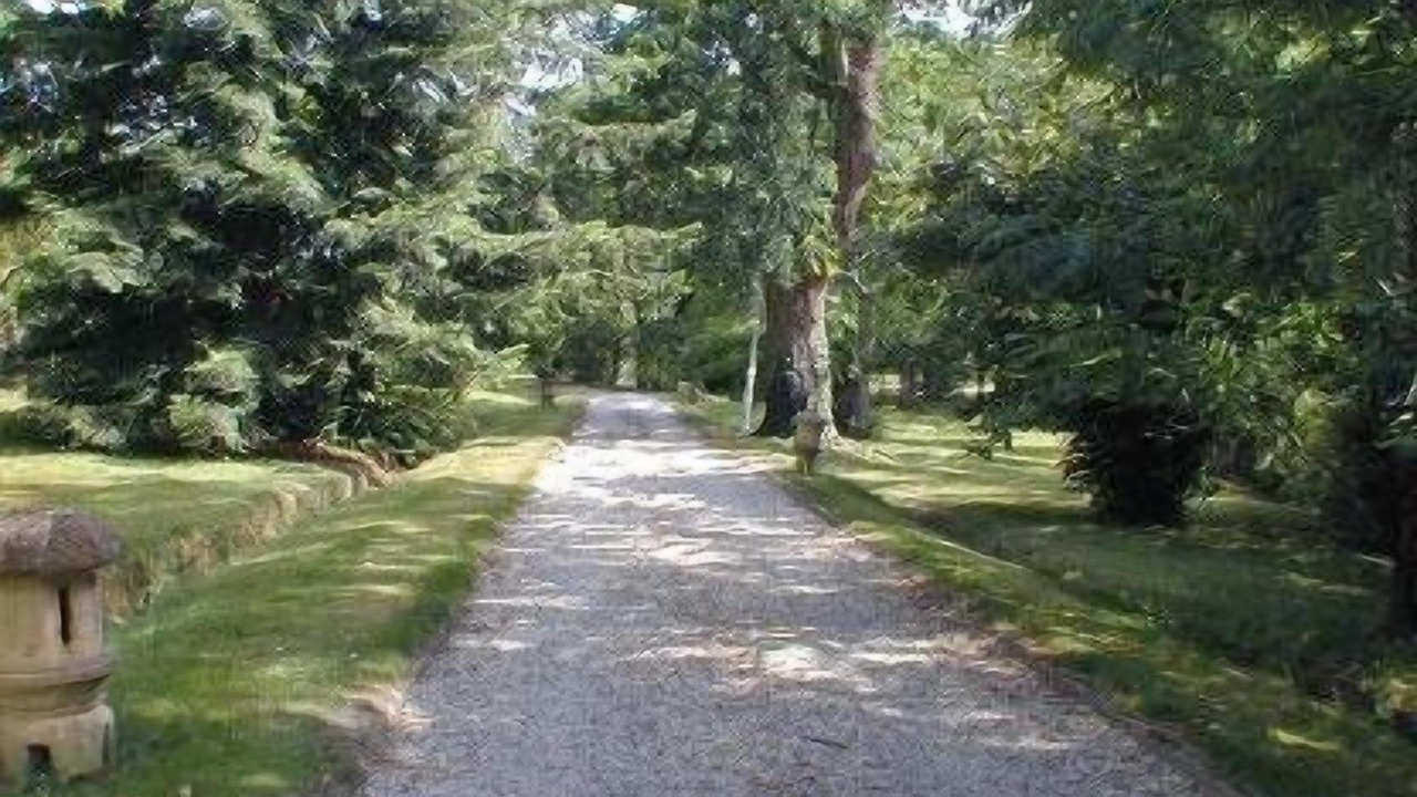 Photo of Outdoor in Beylongue