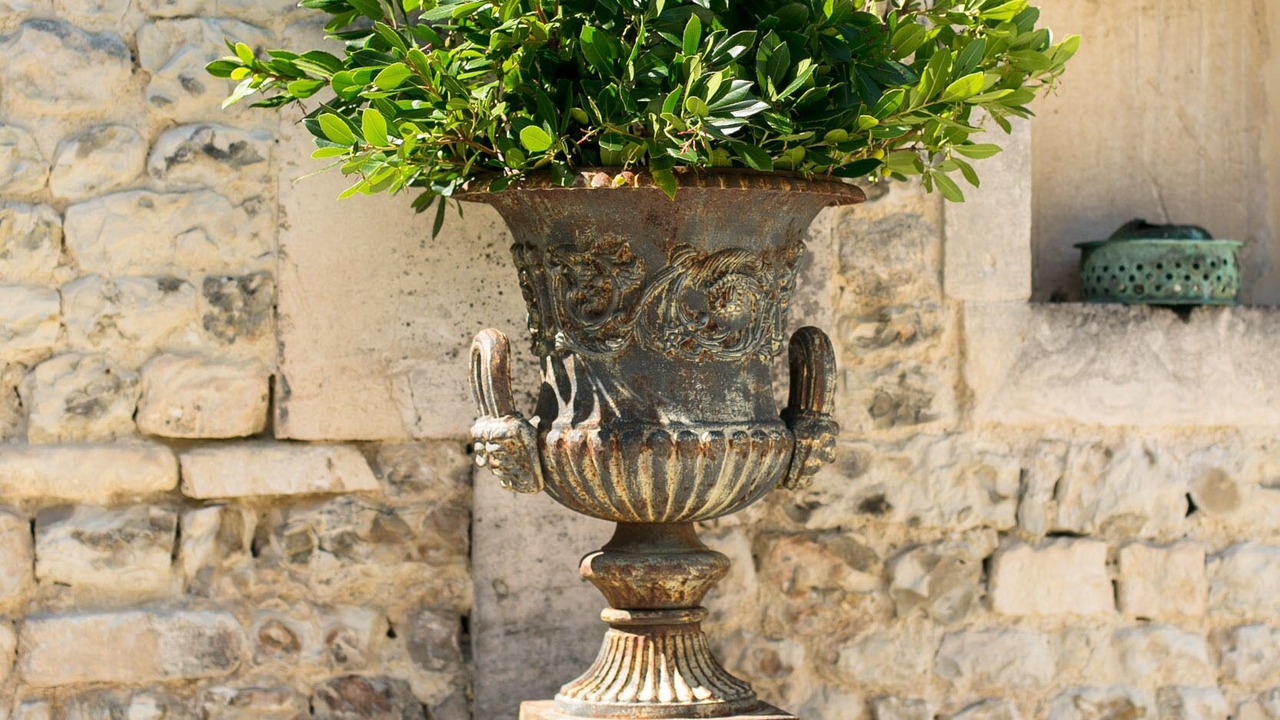 Photo of Others in Angeac-Champagne