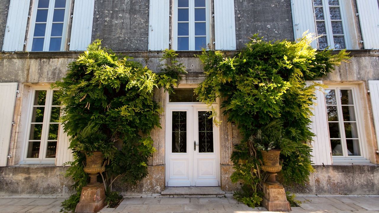 Photo of Others in Angeac-Champagne