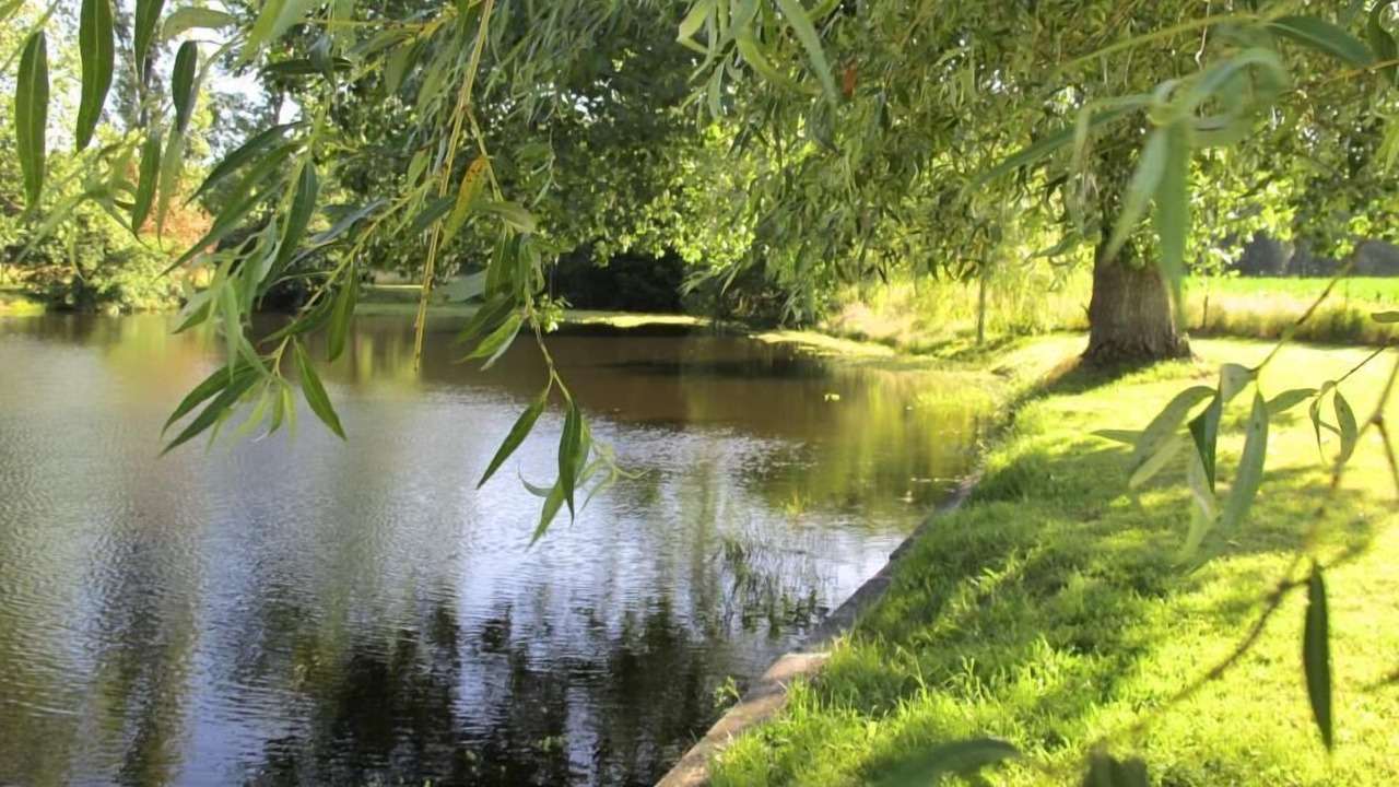 Photo of Outdoor in Uchacq
