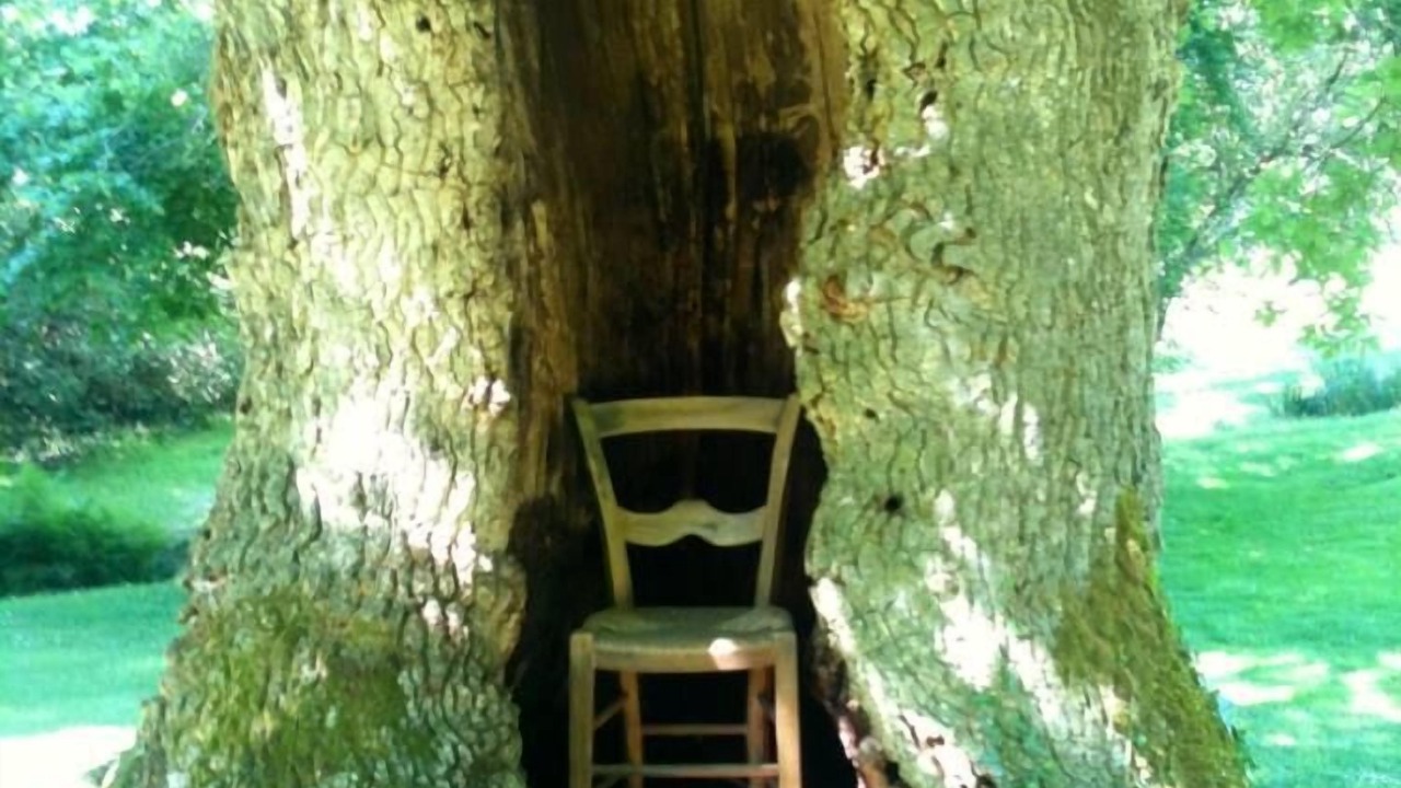 Photo of Outdoor in Uchacq