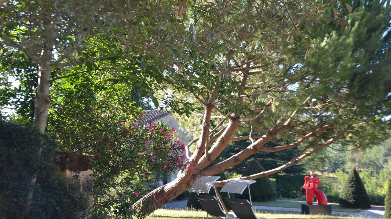 Photo of Outdoor in Nerigean