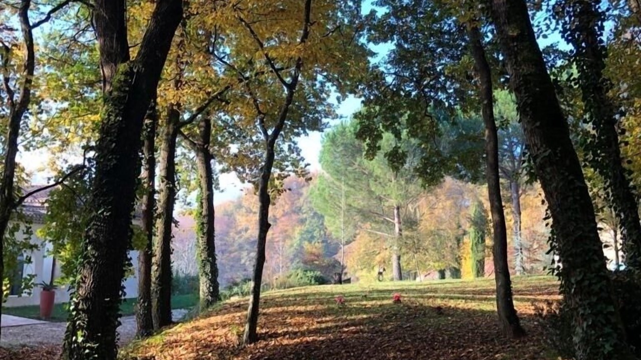 Photo of Outdoor in Nerigean