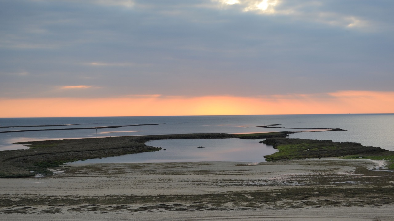 Photo of Others in Saint-Georges-d'Oleron