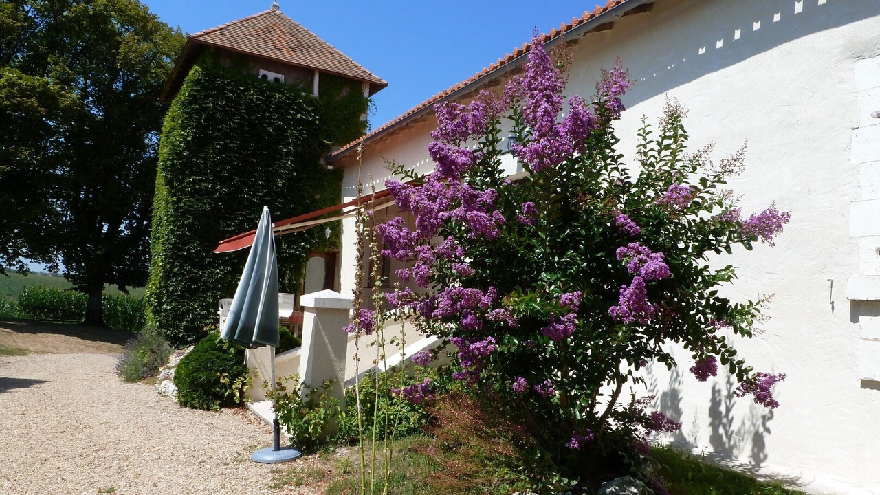 Photo of Outdoor in Verteillac