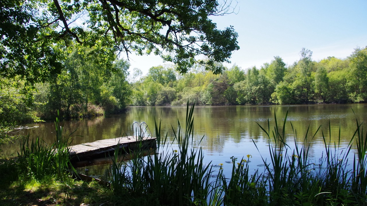 Photo of Outdoor in Busserolles