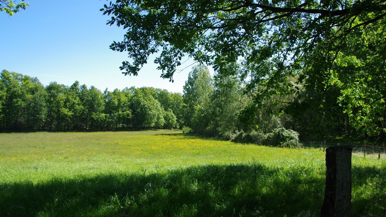 Photo of Outdoor in Busserolles