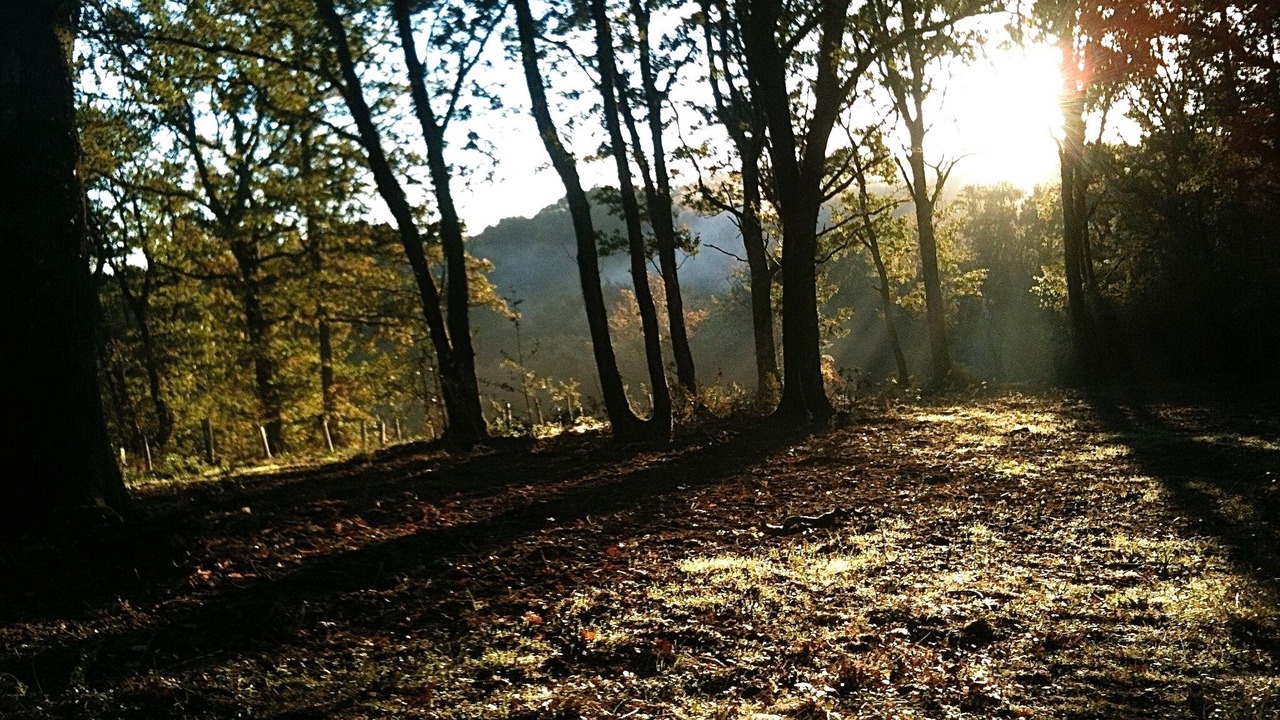 Photo of Outdoor in Ciboure