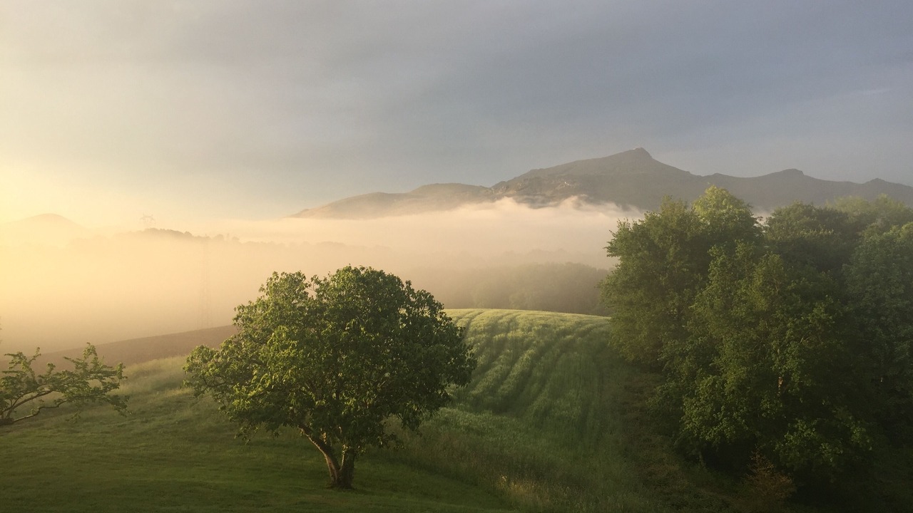Photo of Outdoor in Ciboure