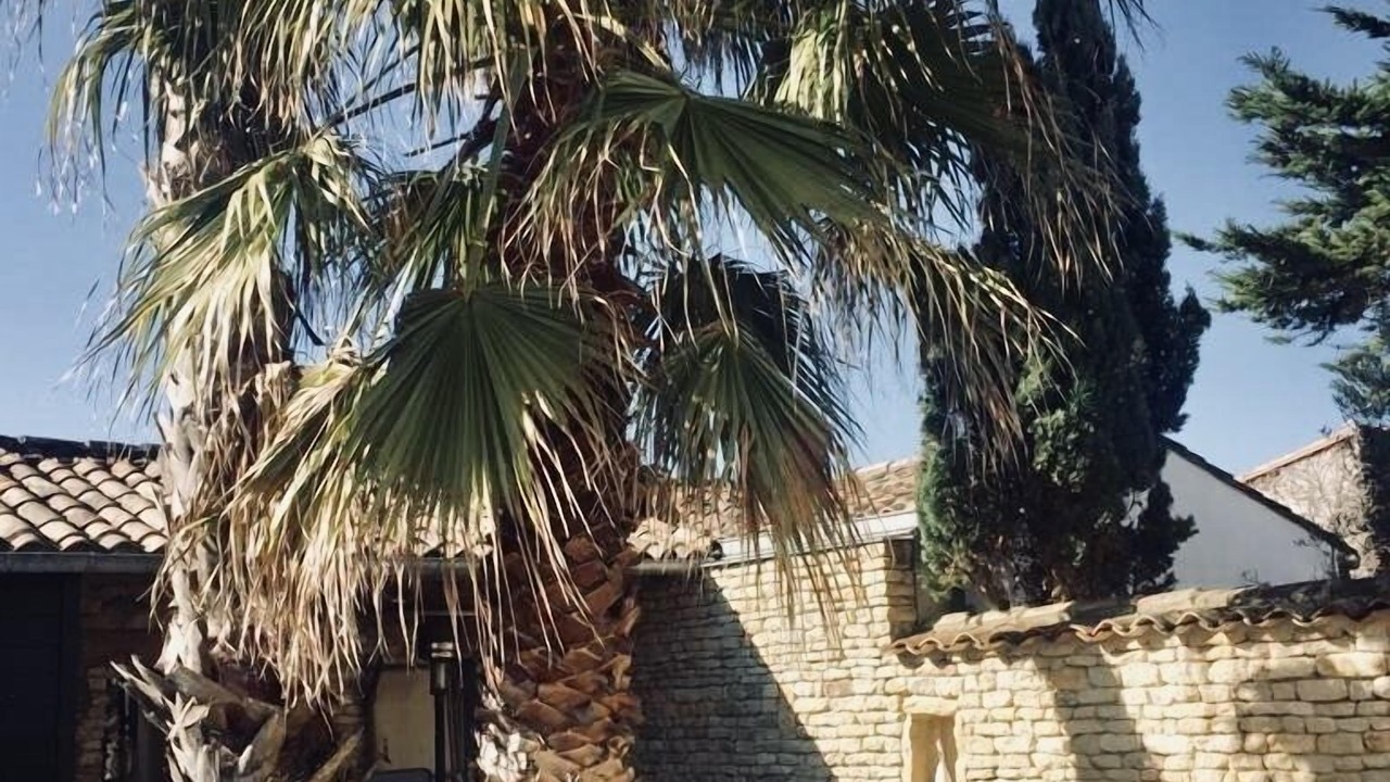 Photo of Outdoor in Saint-Clement-des-Baleines