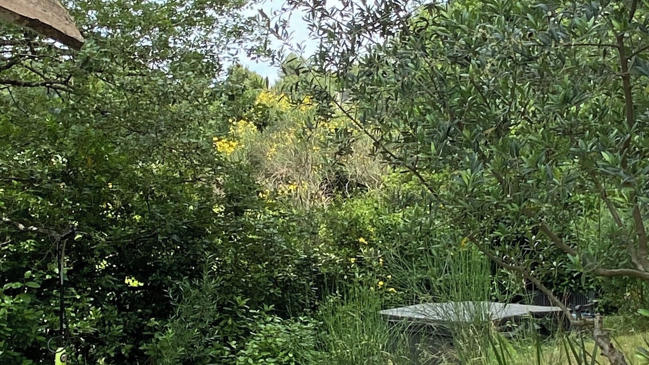Photo of Outdoor in Mirabel-aux-Baronnies