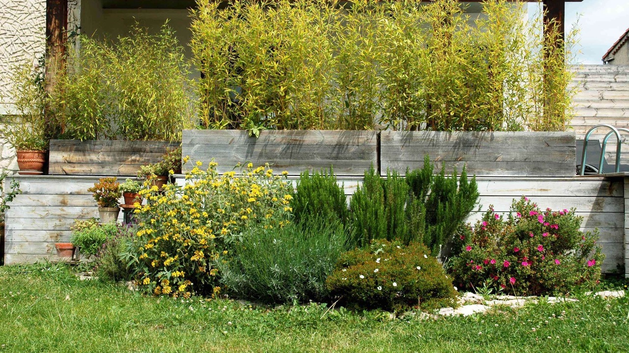 Photo of Outdoor in Morieres-les-Avignon