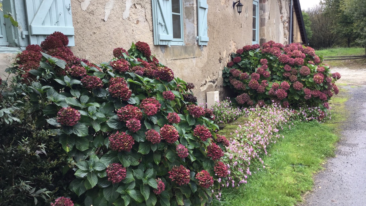 Photo of Outdoor in Orgnac-sur-Vezere