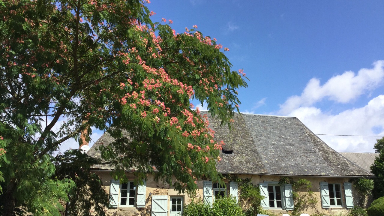 Photo of Outdoor in Orgnac-sur-Vezere